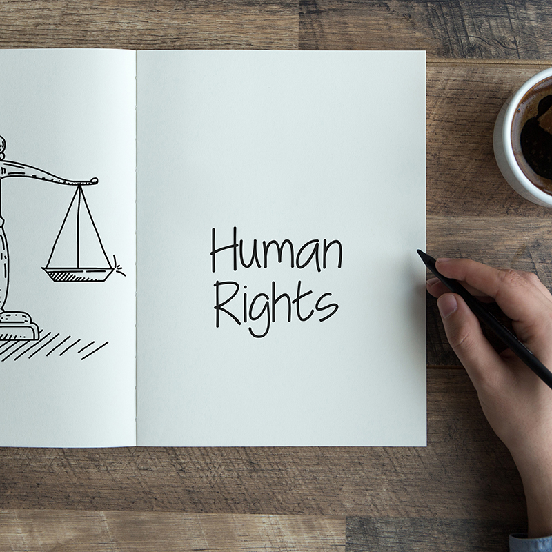 Human
                            Rights